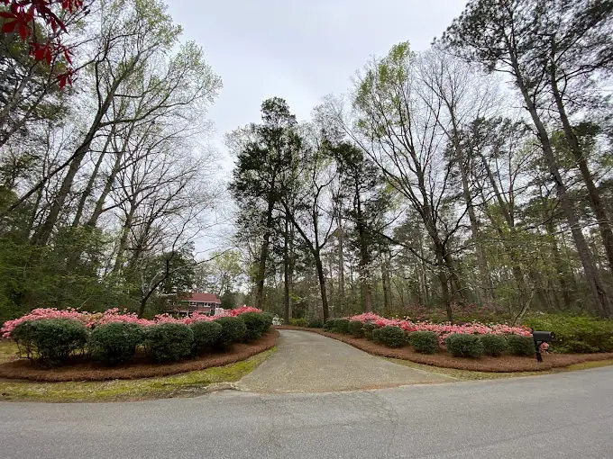 Landscape before pinestraw is installed